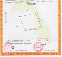 T00248